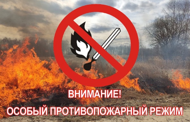 Уважаемые жители и гости Котельников, напоминаем Вам, что на территории городского округа с 01.05.2024 г. введён особый противопожарный режим 