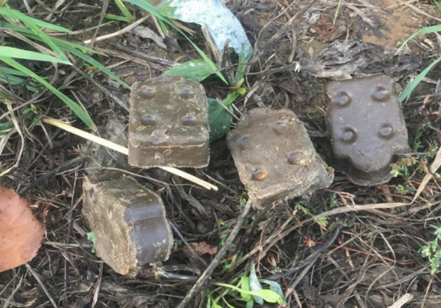 В период с 03 октября по 18 октября 2023 года планируется раскладка вирусвакцины для оральной иммунизации диких плотоядных животных против бешенства.