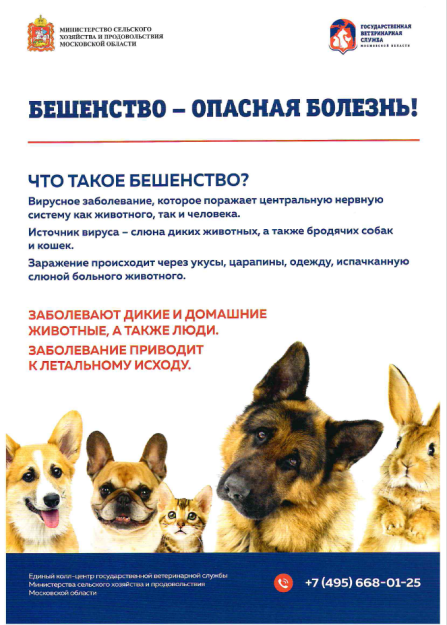 Бешенство животных можно предупредить!